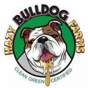 HAZY BULLDOG FARMS LLC