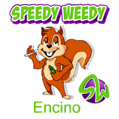 SPEEDY WEEDY ENCINO